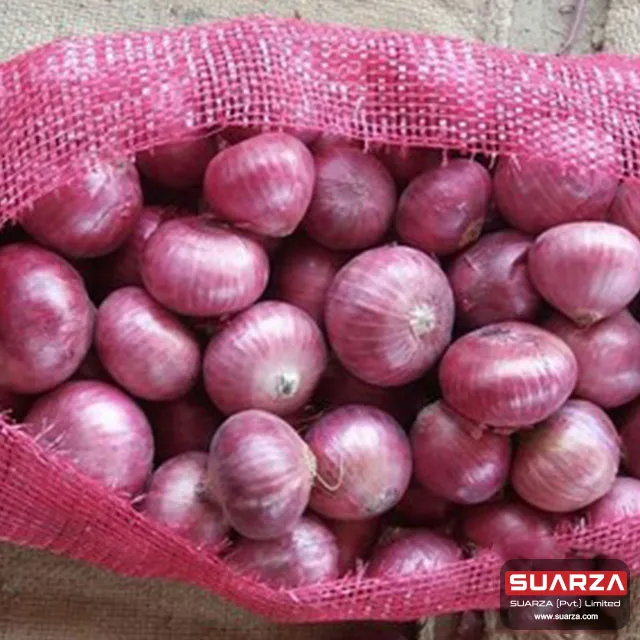 Seasonal   Red shallot Onion for Dubai market/ best quality cheap price onion /   Red Onion Exporter