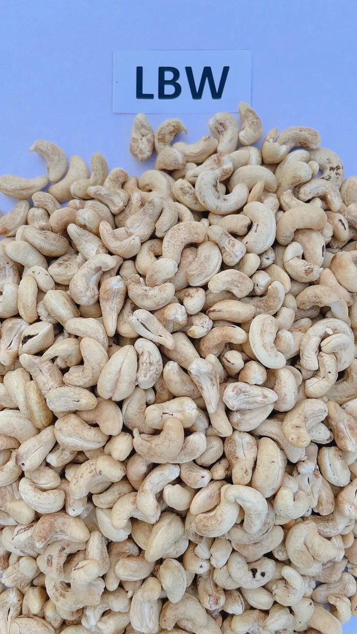 Wholesale vietnam cashew nut Roasted nuts snack bag cashew nut kernels w240 w450 w320 LBW