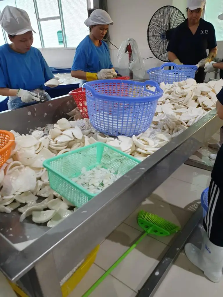 BEST PRICE desiccated coconut low fat desiccated Vietnam Manufacturer CoConut desiccated Dried fruit Top quality