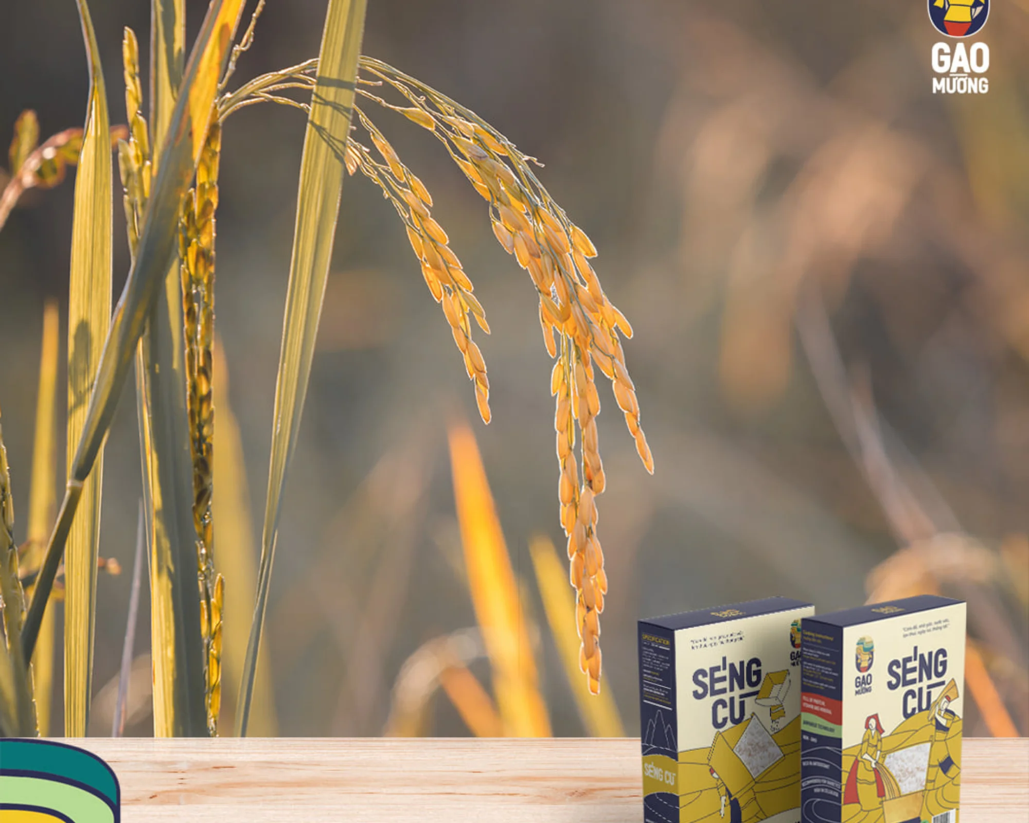 
ST25 organic rice, good for health, high quality Vietnamese goods, best seller in 2021 