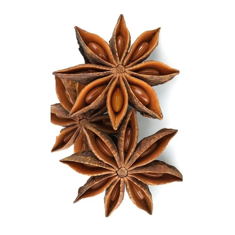 Bulk Selling Natural Brown Dried Style Raw Processing Whole Star Anise Collected for Craft Highest Quality
