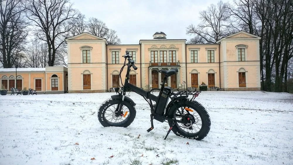 2021 China Bisek Electric Bicycle Two Wheel 20Inch Electric Bike 500W 48V Smart Ebike with 15AH Lithium Battery Folding Bike