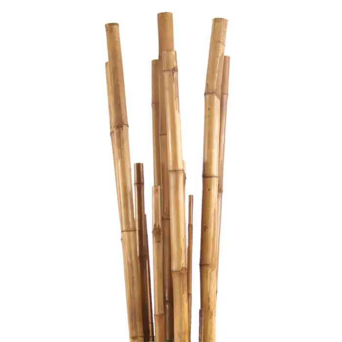 Agriculture Bamboo Sticks Raw Bamboo Poles for Nursery Planting 99GD