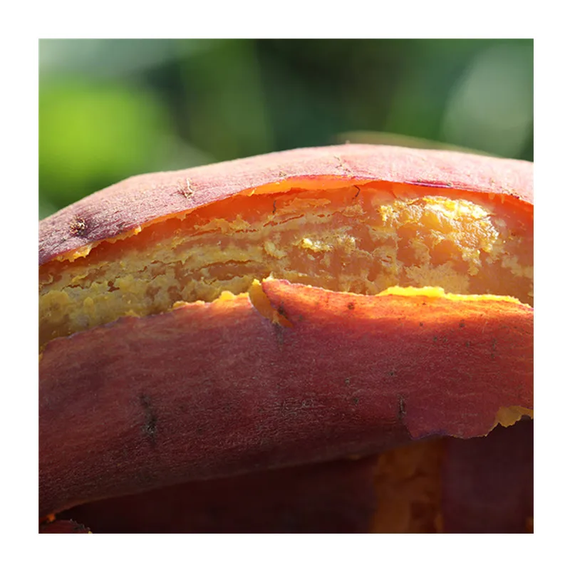  Лучший продукт на экспорт // японский сладкий картофель мед YAM из Вьетнама для оптовой продажи/Ms Sofia + 84 789946878