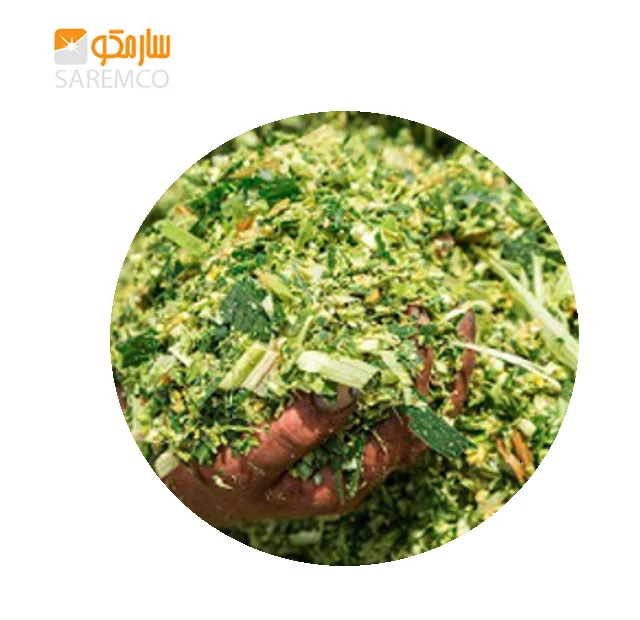 Best Quality Corn Silage For Sale For Animal Feed / Top Suppliers Of Corn Silage From Pakistan High Protein Clean And Fresh