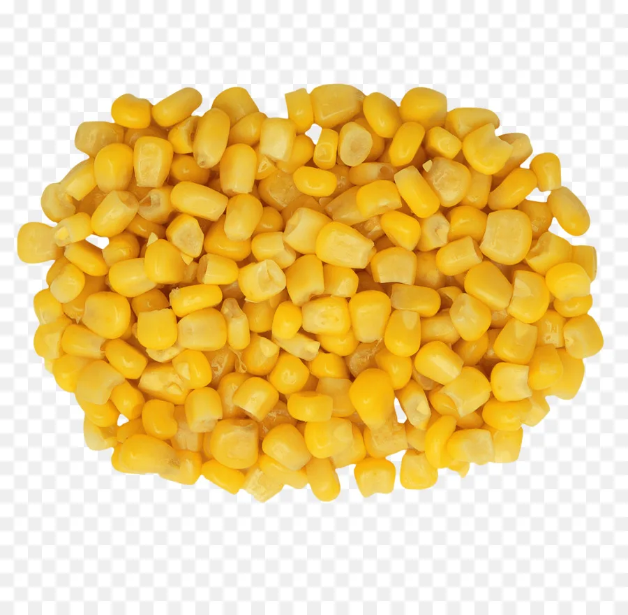 Wholesale Price Yellow Corn High Quality Yellow Maize Corn for Animal Feed Supplier.