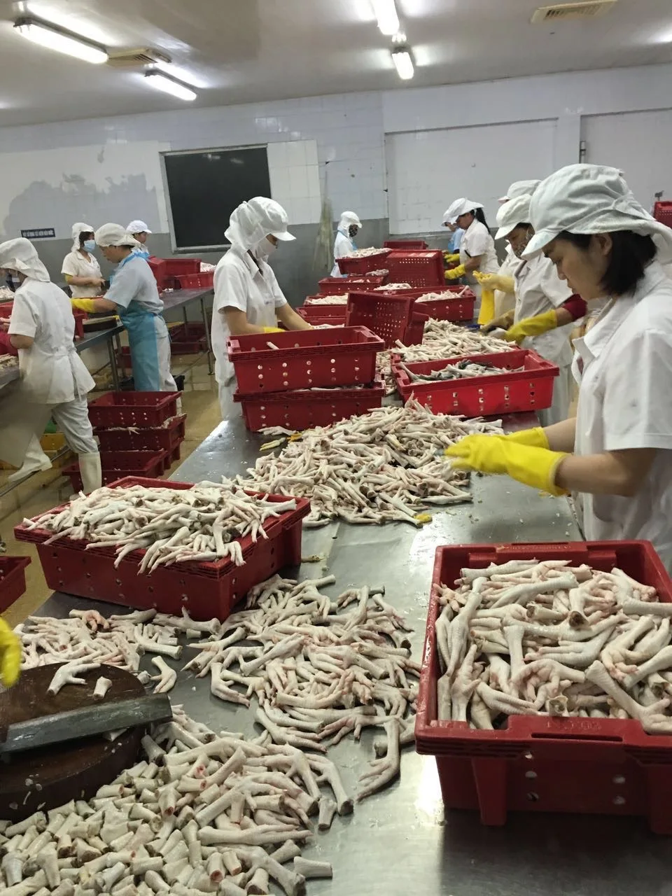 Best quality chicken feet chicken boneless frozen chicken feet for China Hong Kong market Origin Vietnam