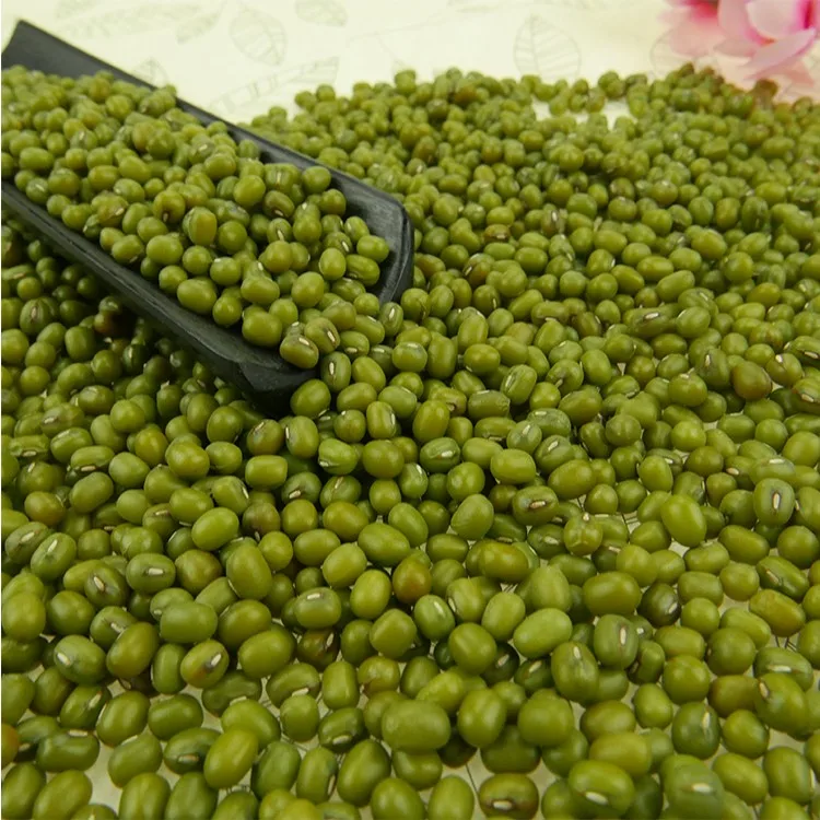 Organic Dried Green Mung/Vagna Adzuki Beans/ Cowpea