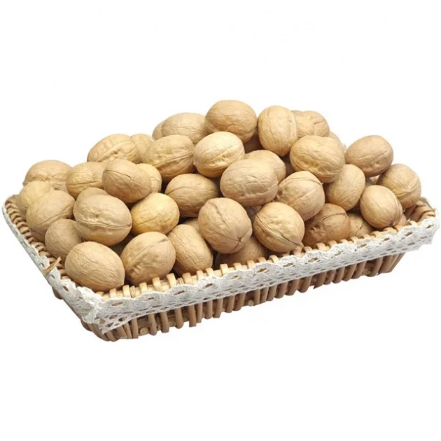 High Quality Walnut Kernel Wholesale /Best Grade Raw Walnut