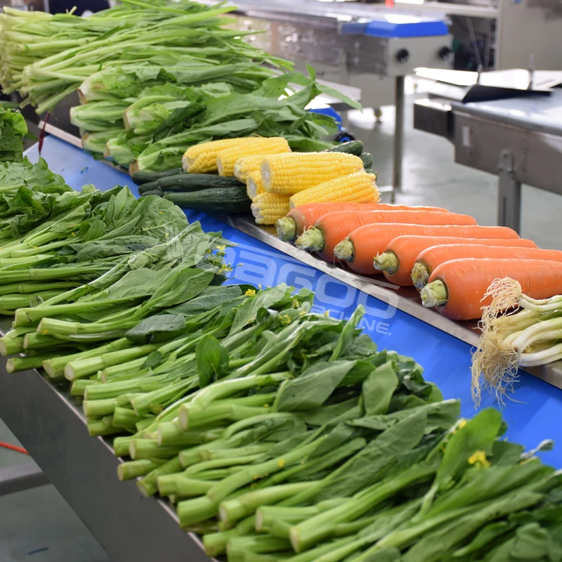 Fully automatic  pillow type fruit and vegetable packing machine