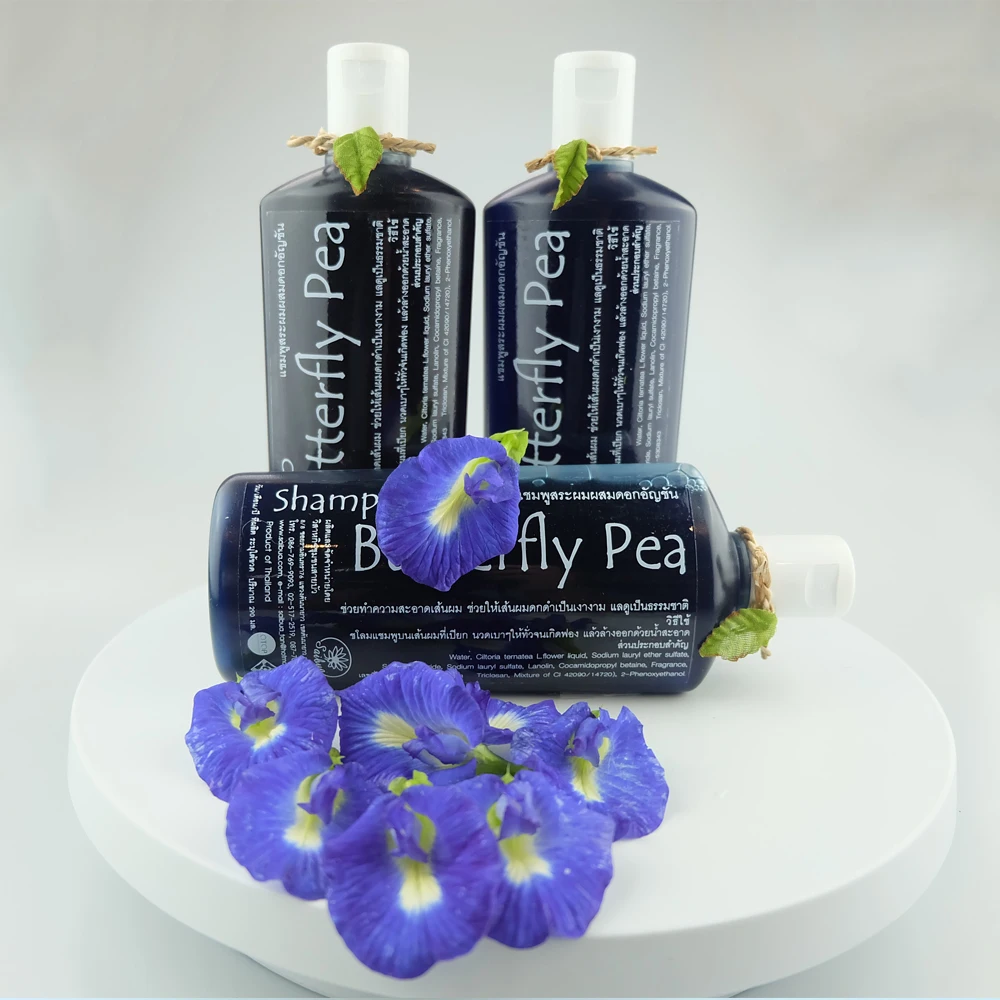 
Wholesale OEM Best Quality Butterfly Pea Shampoo, Natural Herbal Shampoo, Flower Handmade Shampoo Thailand 