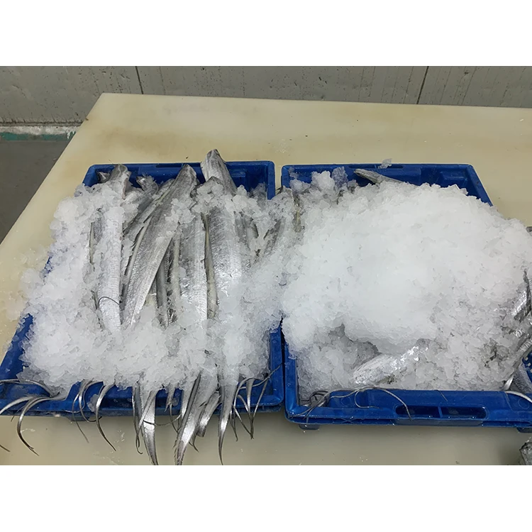 
Frozen Whole Ribbon Fish For Sale High Quality 