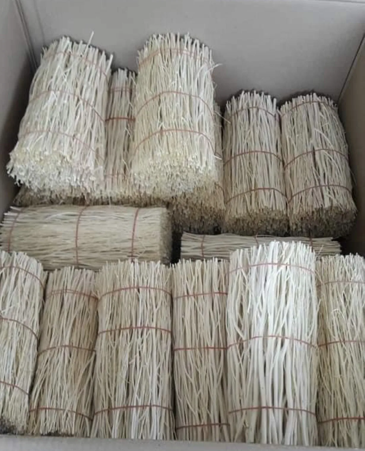 New Dye branch Design From Thailand