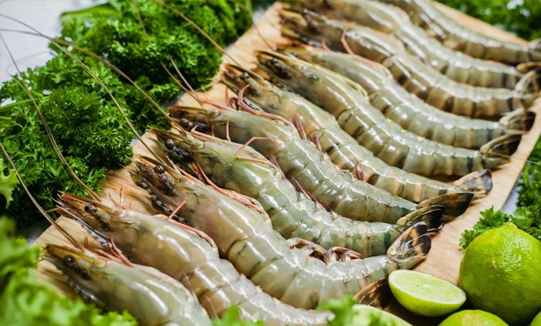 High quality Wholesale Raw HOSO Black Tiger Prawn, Head On Shell On Fresh seafood best for export made in Vietnam on sale