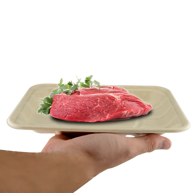 WholeSale sugarcane bagasse pulp paper food tray for meat eco-friendly biodegradable disposable compostable