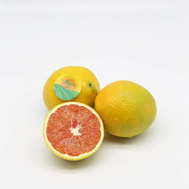 VIET NAM ORANGE FOR SALES