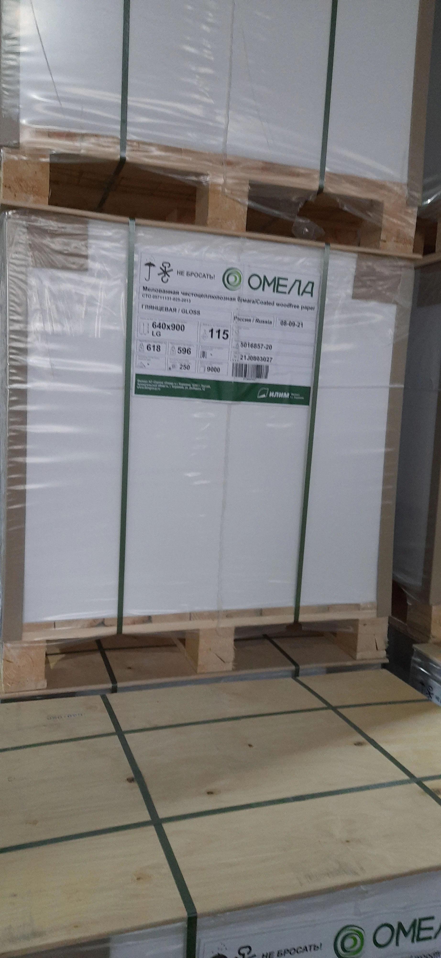 Coated wood free paper GLOSS