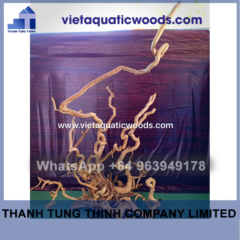 Лидер 2024 натуральные коряги для аквариума аксессуары WhatsApp + 84 963 949 178
