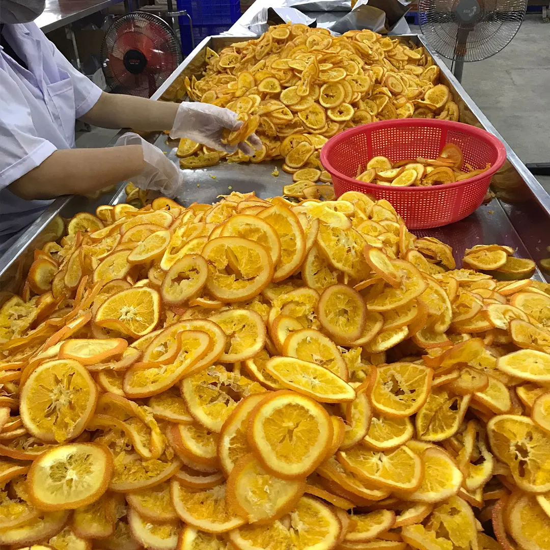 Soft Dried Navel Orange With Special Taste 100% Natural Best Price From Vietnam