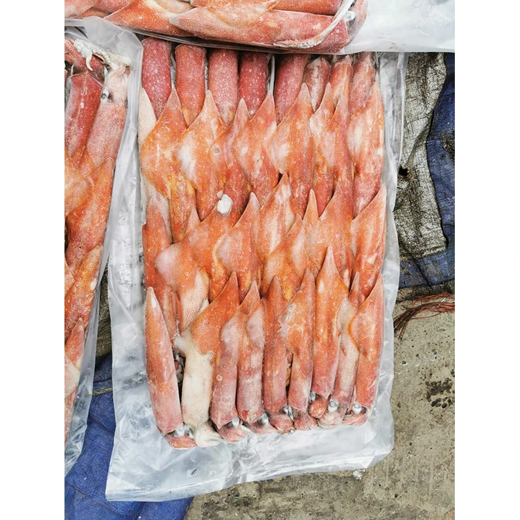 Squid Giant Good Price Frozen Squid