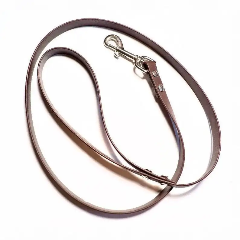 Standard Biothane Dog Leash