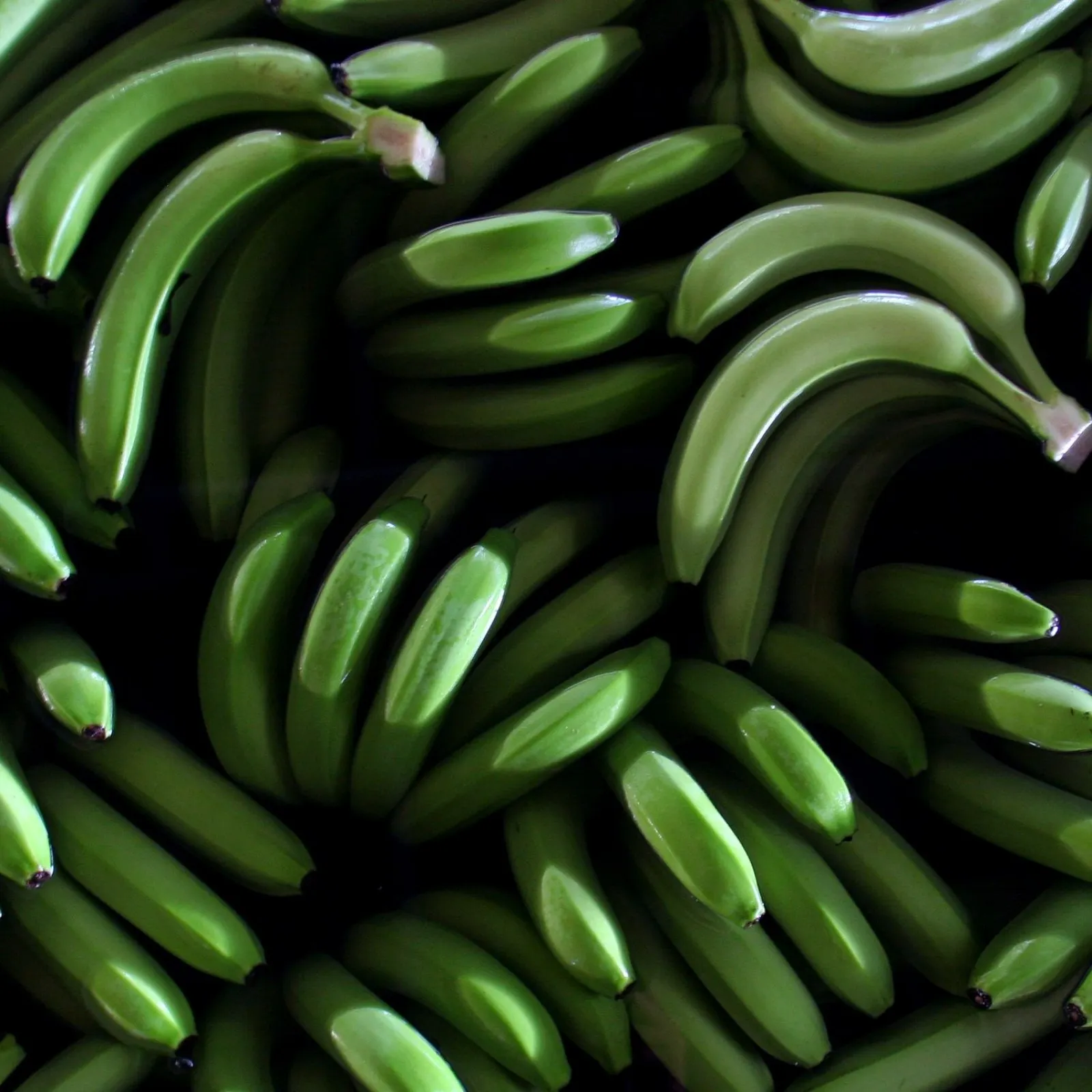 Свежий банан Cavendish из Вьетнама