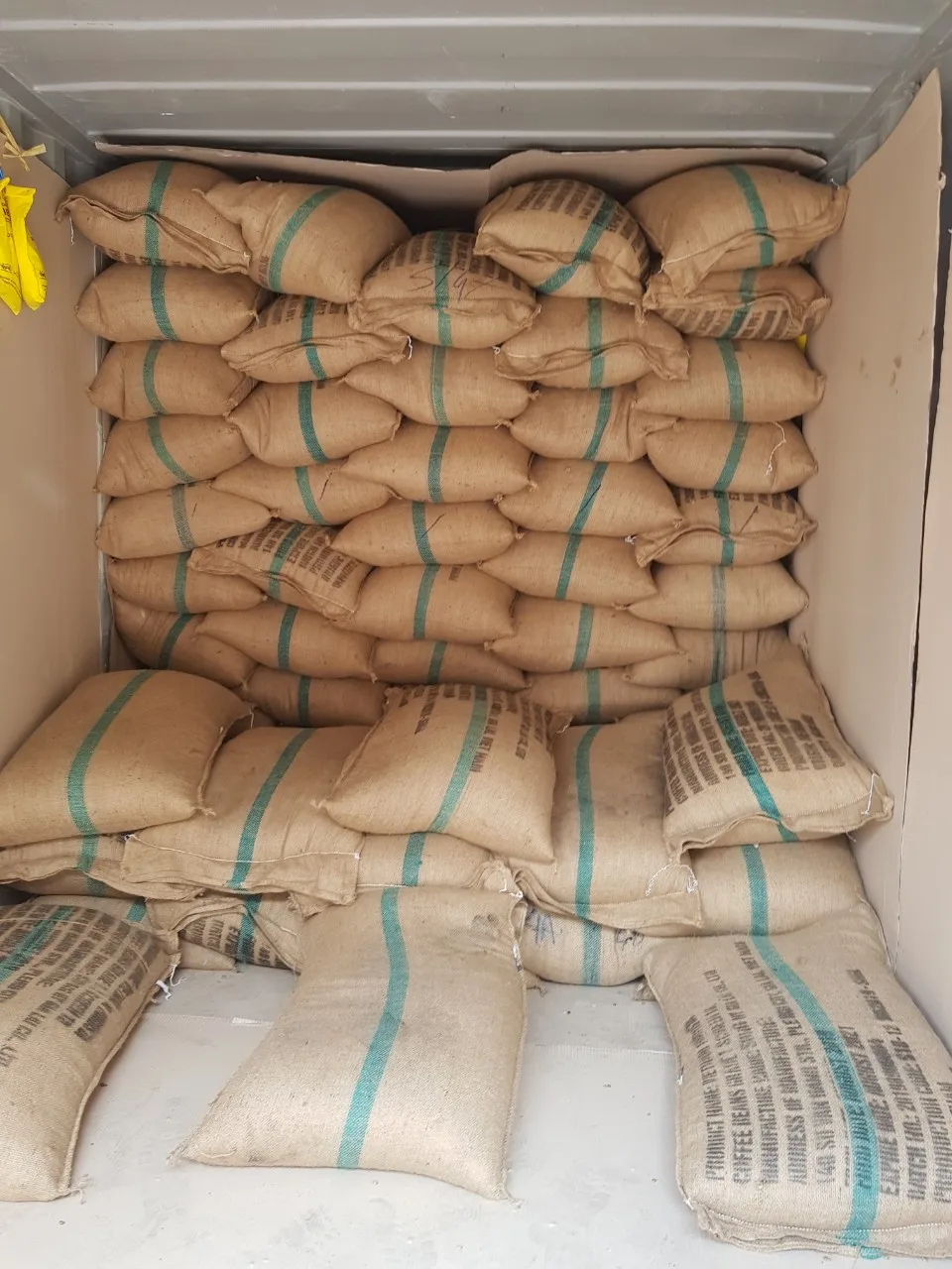 Кофе в зернах робуста