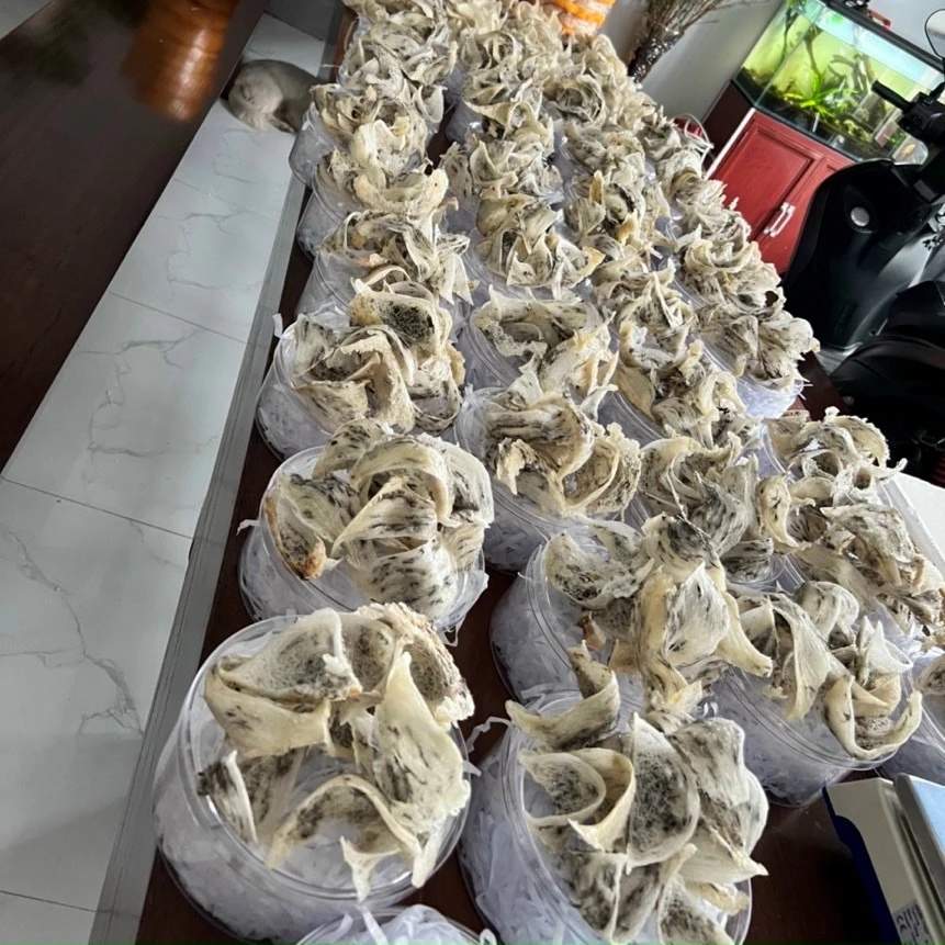 Wholesale OEM Vietnam Raw Bird Nest Type B Medium Size Original Few Spongy Improve Resistance Quite Bright