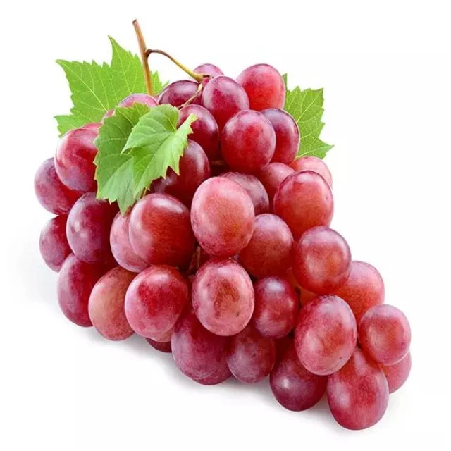 Без саженцев свежий виноград в наличии высокое качество и 100% экспорт свежих фруктов красный без