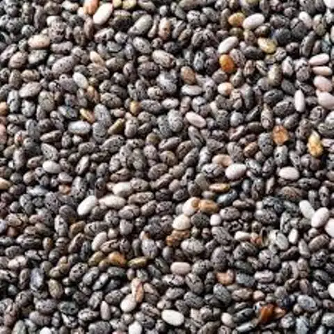 
Chia Seeds in bulk for sale 