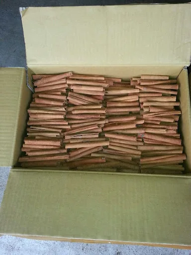 Wholesale cinnamon powder whole cinnamon roll spicies cassia pressed Dried from vietnam