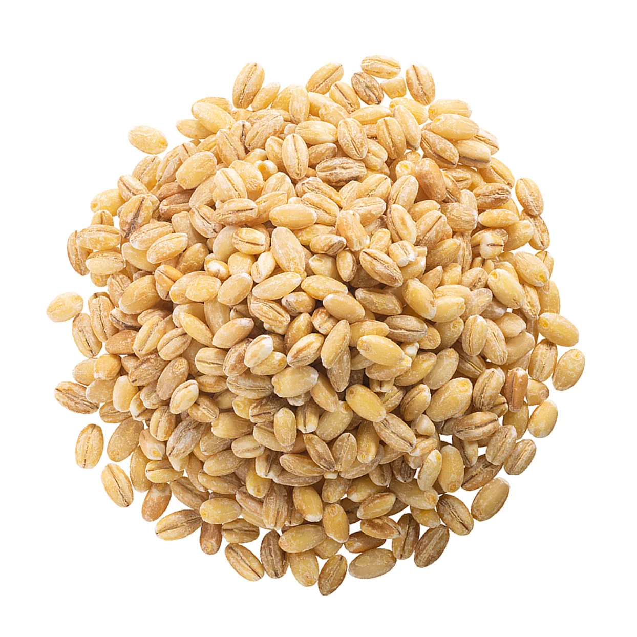 
Russian organic barley grain, agriculture product 