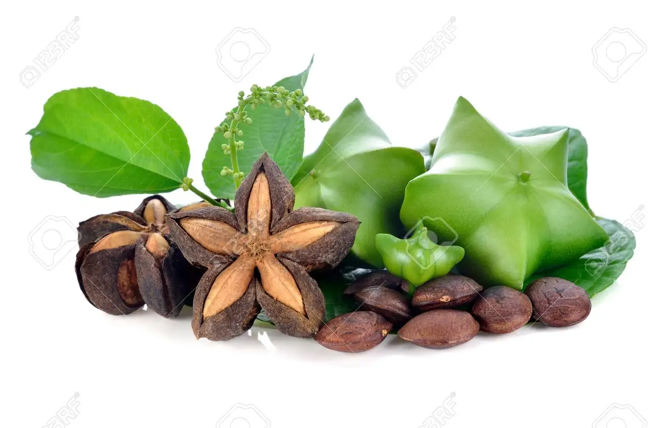 Лучшая цена на масло SACHA INCHI OMEGA 3 6 9 + Axel 84 38 776 0892