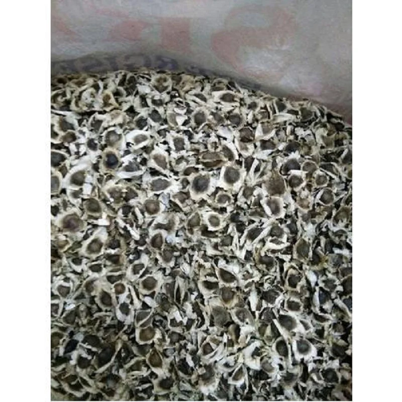 Семена Моринги для продажи по низкой