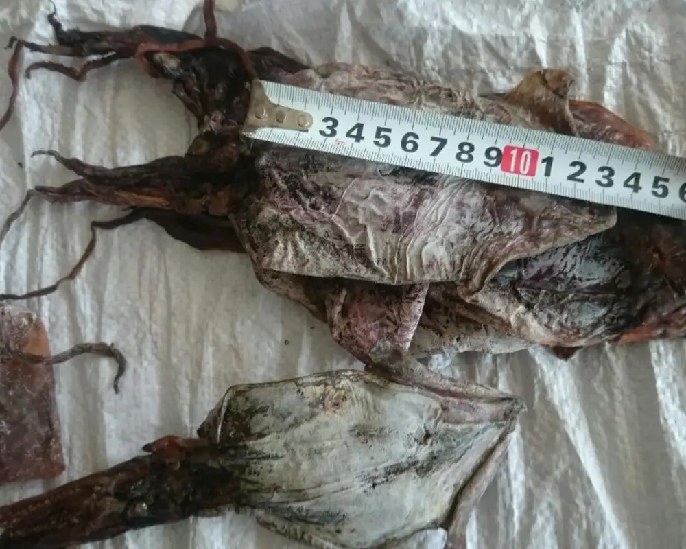 
HIGH QUALITY - DRIED BLACK SQUID 