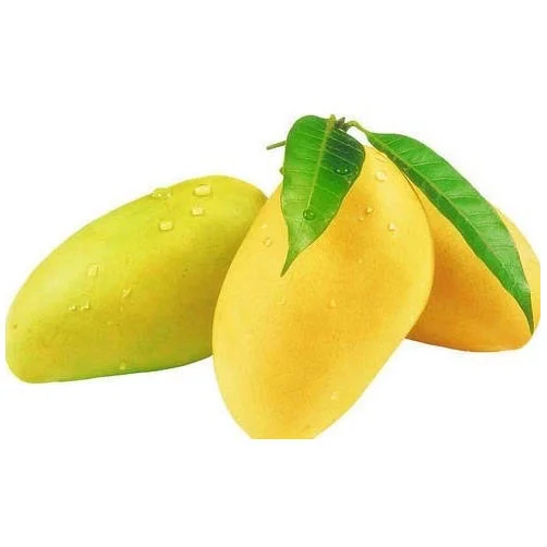 
High Quality Sweet Fresh Mango 