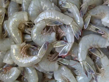 High quality Raw Vannamei Shrimp HLSO, Headless, Shell On Wholesale Frozen Seafood made in Vietnam Shrimp ready to ship, export