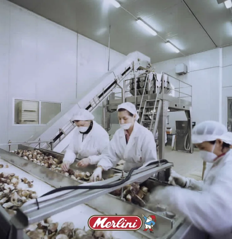 For Trade WILD Porcini (botetus Edulis and Relative Groupe) Brc Ifs Sedex Top Sold Italian Frozen Whole Mushrooms Porcini 1kg