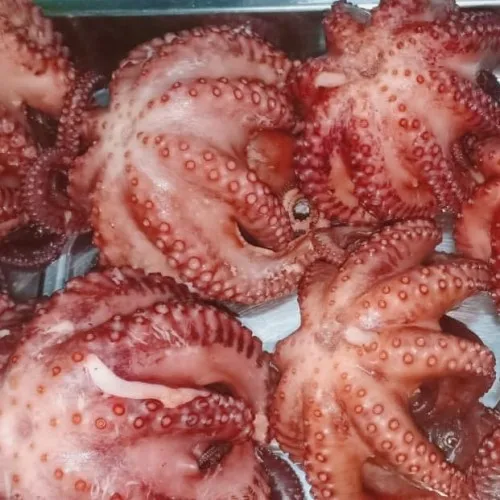 Frozen Octopus Baby Octopus Fresh Seafood