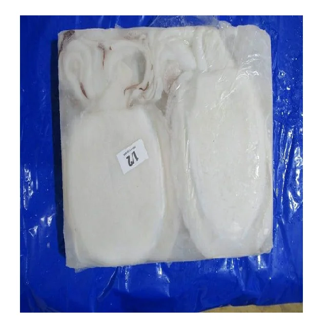 Block frozen Cuttlefish cleaned from India, top quality