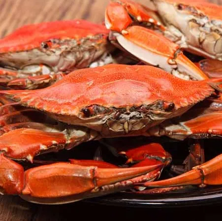 Cheap Price Live Red King Crab Norwegian King Crab Alaskan King Crab