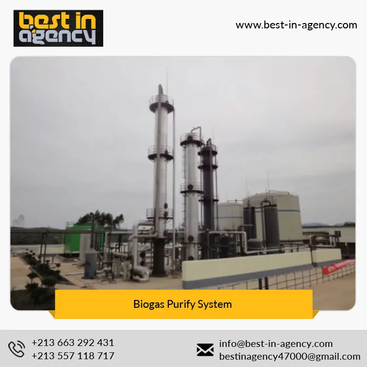 Natural Gas Water Removal Biogas Purify Decarburization System Manufacturer