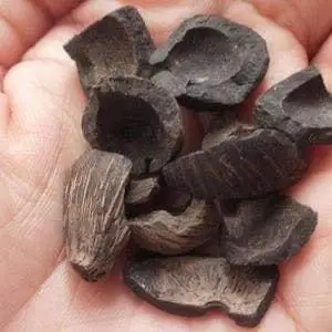 High Quality Palm Kernel Shell From Agricultural Waste With Good Price