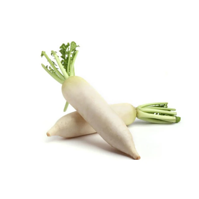 Fresh Super Delicious Taste Premium Quality White Radish - Whole Fruit Export