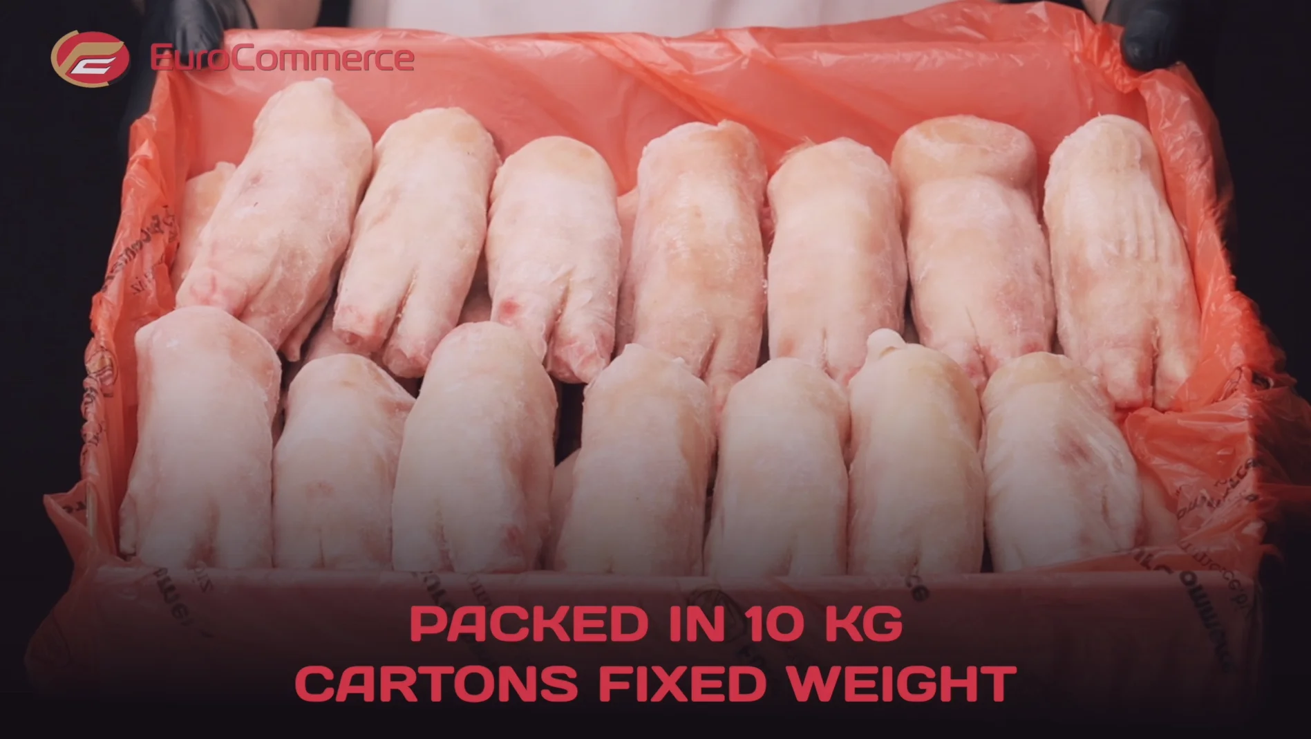 Frozen pork front and hind feets