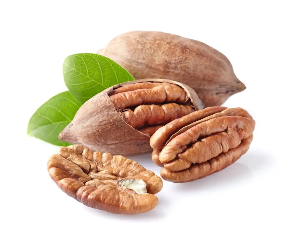 
Wholesale High Quality Pecan Nuts 