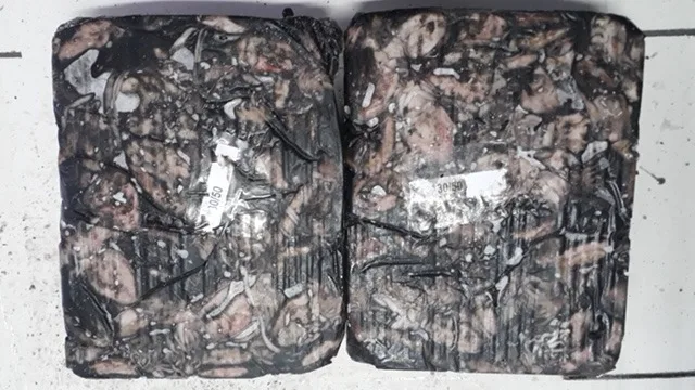 FROZEN BABY CUTTLEFISH WHOLE