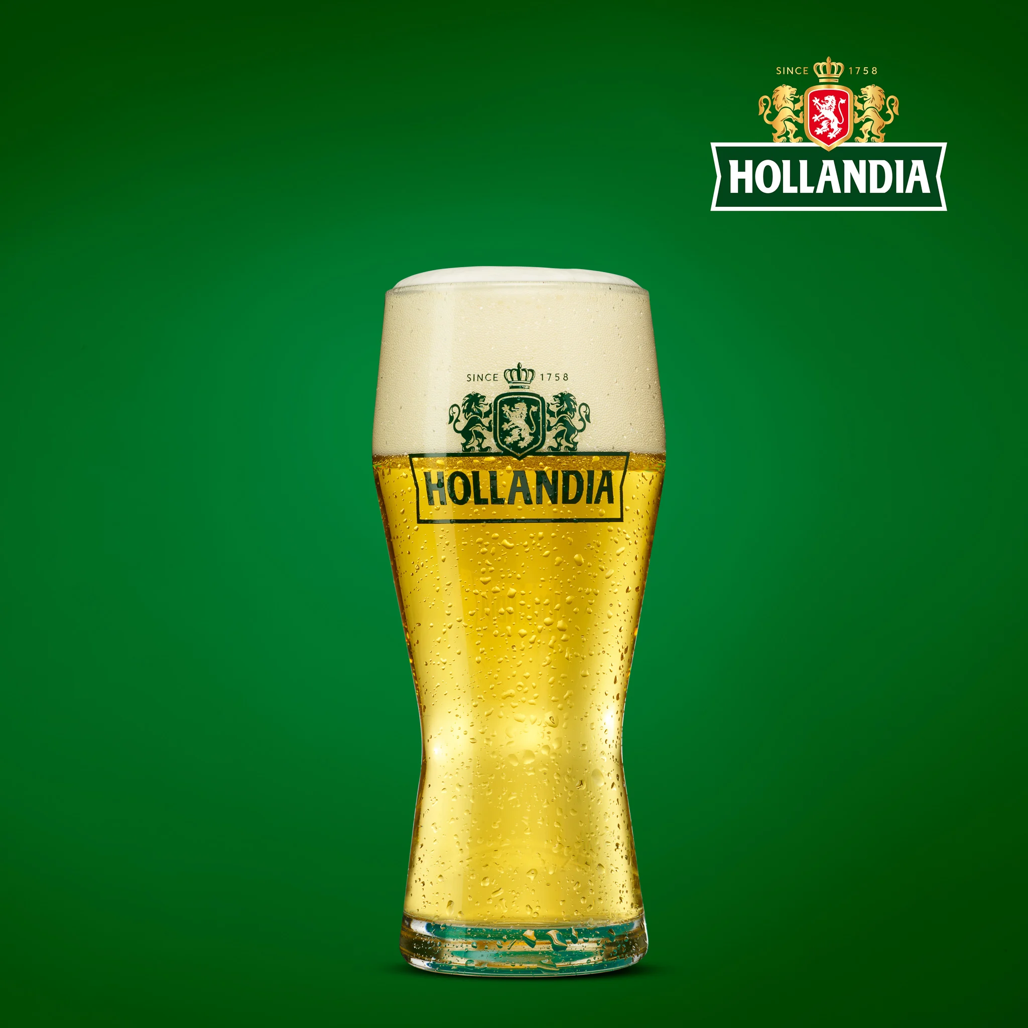 Голландское пиво Holland-pilsner-коробка 24x50cl