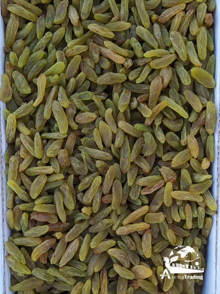 Top Quality raisin/currant red green black gold wholesale healthy food hot product