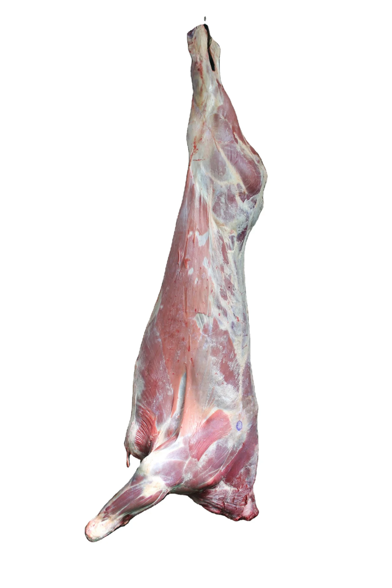 Lamb0.png